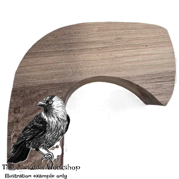 Solid English Sycamore Cardigan or Llandovery Stick Handle Blank