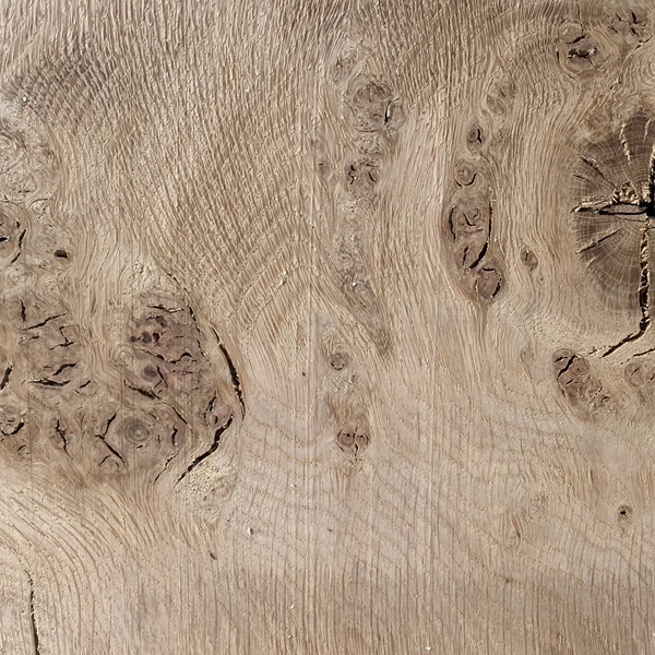 Solid English Oak Cardigan or Llandovery Stick Handle Blank