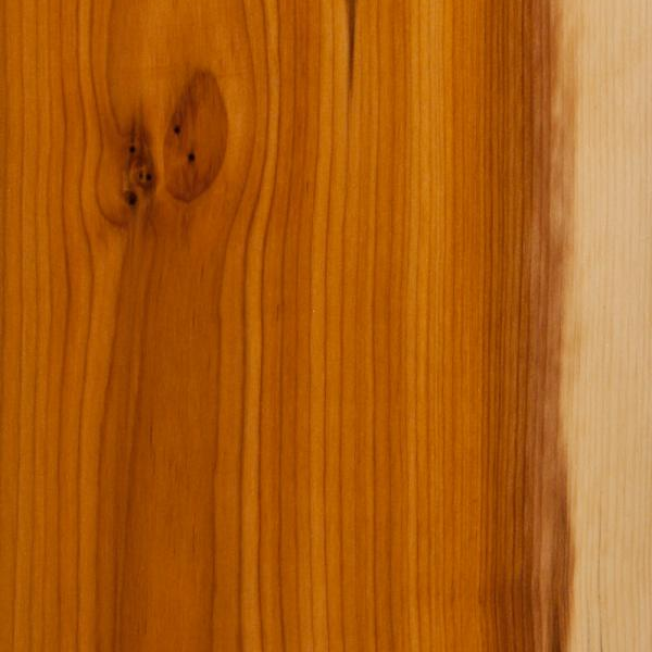 Solid English Yew Crook Stick Handle Blank