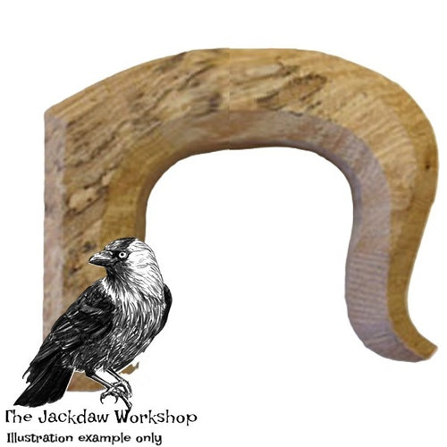 Solid English Acacia Crook Wide Stick Handle Blank