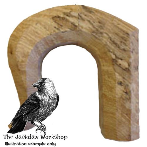 Solid English Acacia Crook Narrow Stick Handle Blank