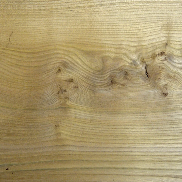 Solid English Elm Cardigan or Llandovery Stick Handle Blank