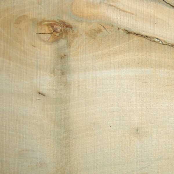 Solid English Holly Crook Narrow Stick Handle Blank