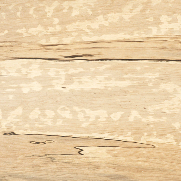 Solid English Hornbeam Cardigan or Llandovery Stick Handle Blank
